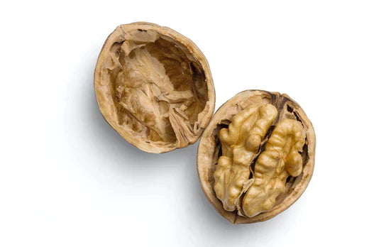 Male Fertility Supplements