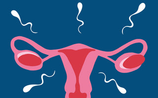Endometriosis and Its Impact on Infertility